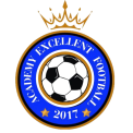 ACADEMY EXCELLENT FOOTBALL